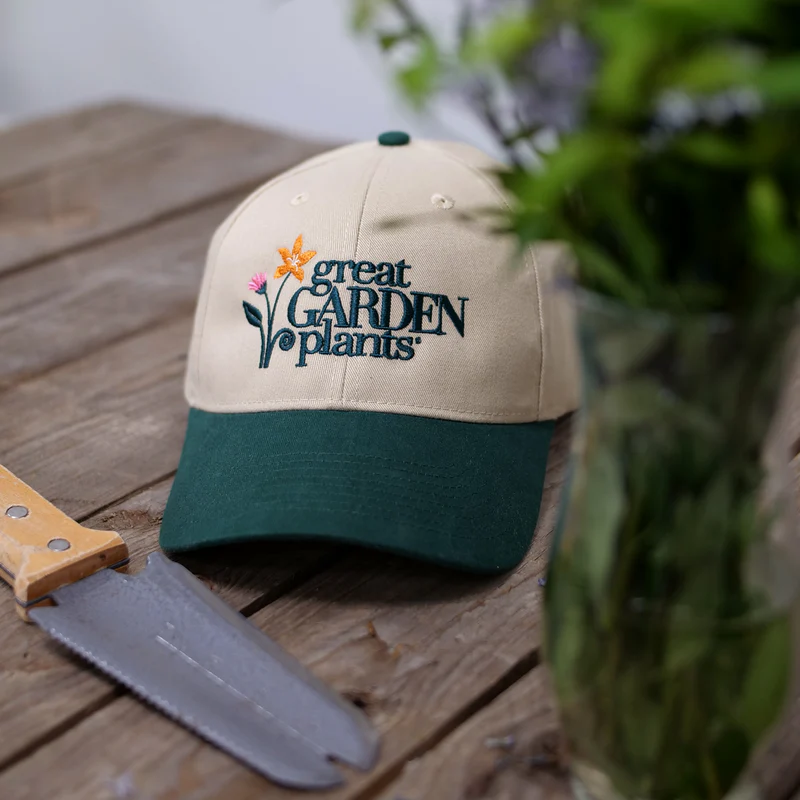 Embroidered Cotton Twill Hat - Image 3