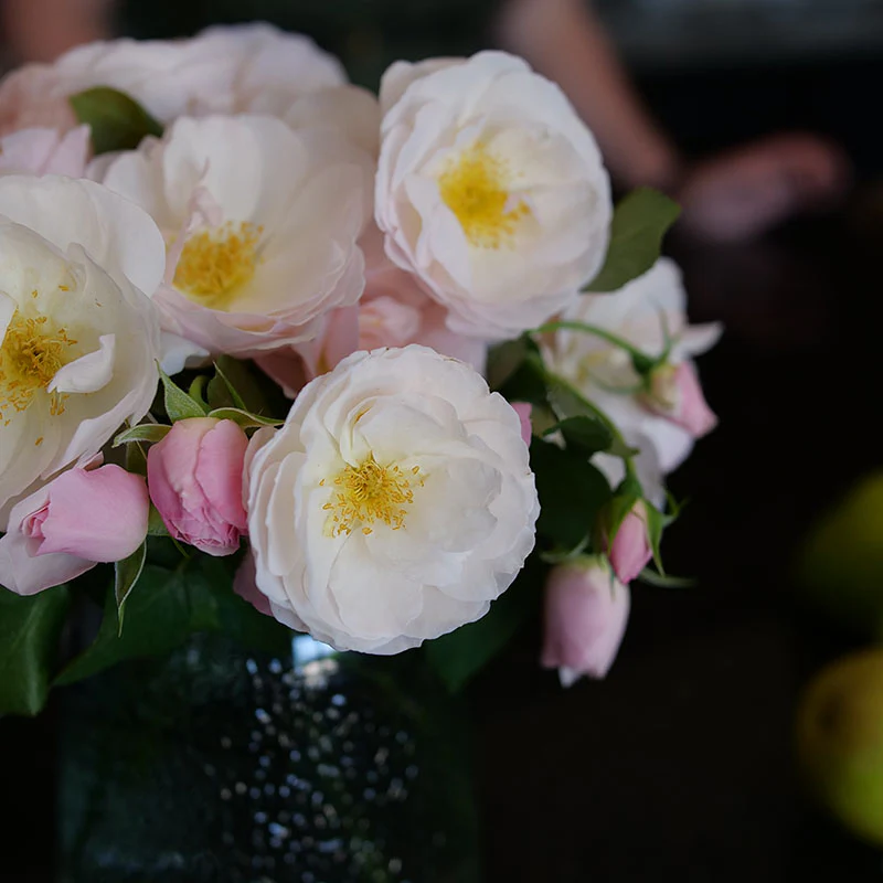Flavorette Pear'd® Rose - Image 7