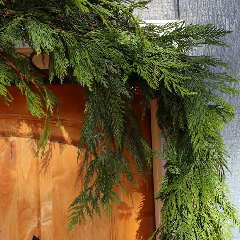 Fresh Cedar & Douglas Holiday Garland - Image 2