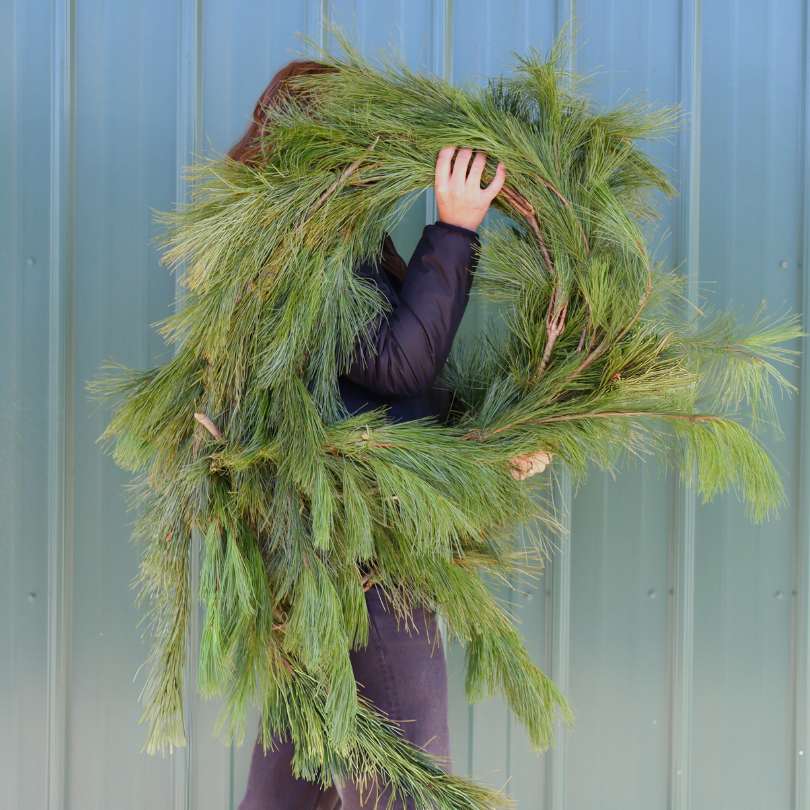 Fresh White Pine Holiday Garland - Image 4