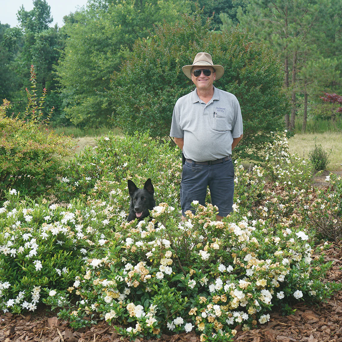 Steady As She Goes™ Gardenia - Image 2